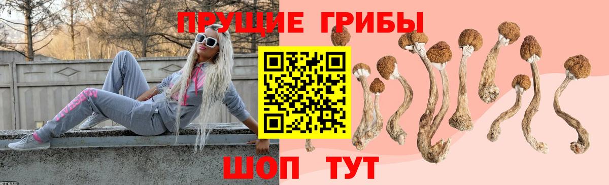 Старая Купавна  Галлюциногенные грибы Psilocybe  Вход с VPN 